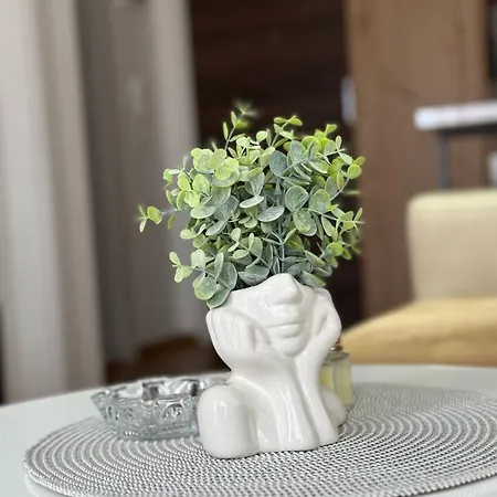 Royal Vrnjacka Banja Apartament *