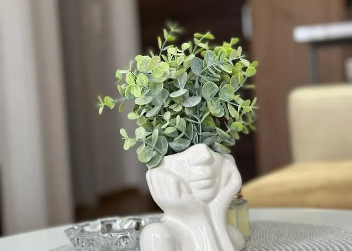 Royal Vrnjacka Banja Apartament *