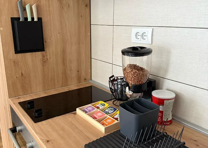 Royal Vrnjacka Banja Apartament *